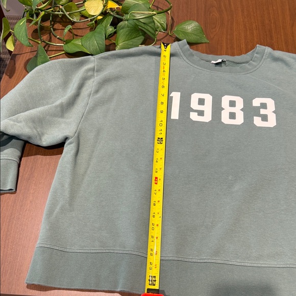 J. Crew Sage Green 1983 Women's Crew Neck Sweater - Picture 7 of 8